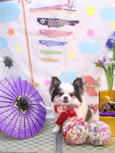 20240510リアンくん